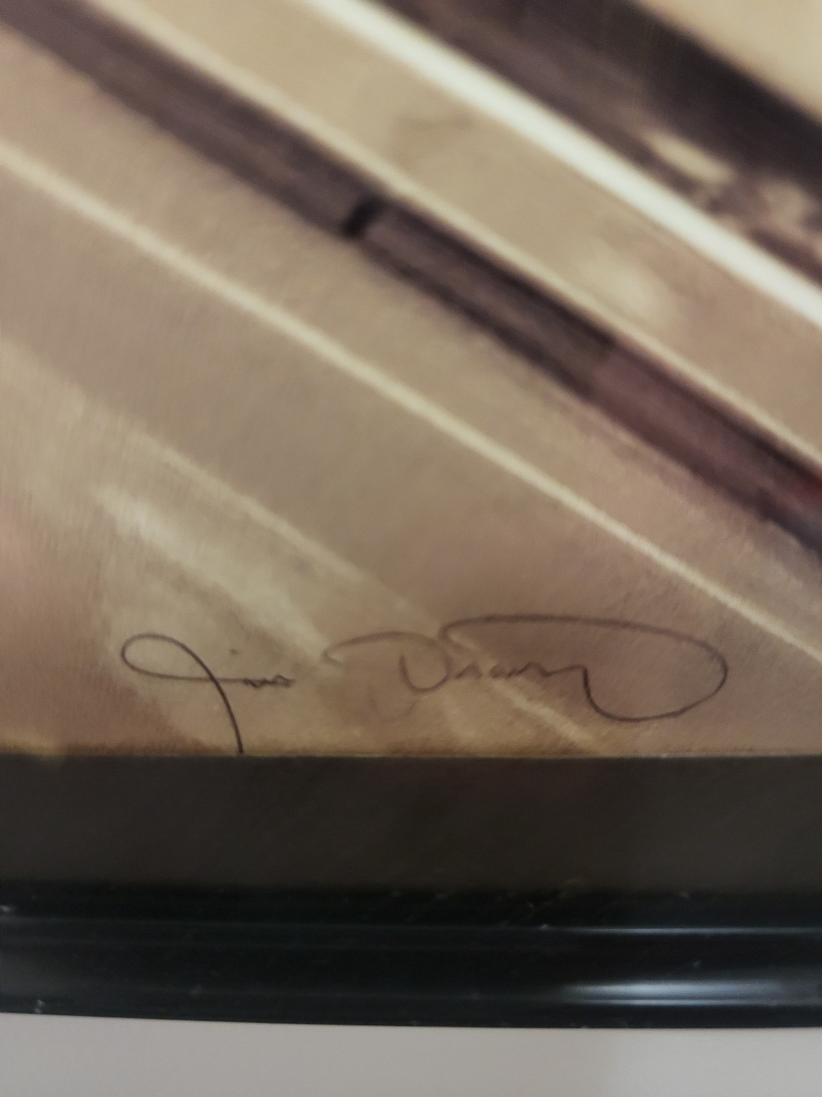 20th Century Jim Dratfield Photograph in original frame Golden Retriever signed