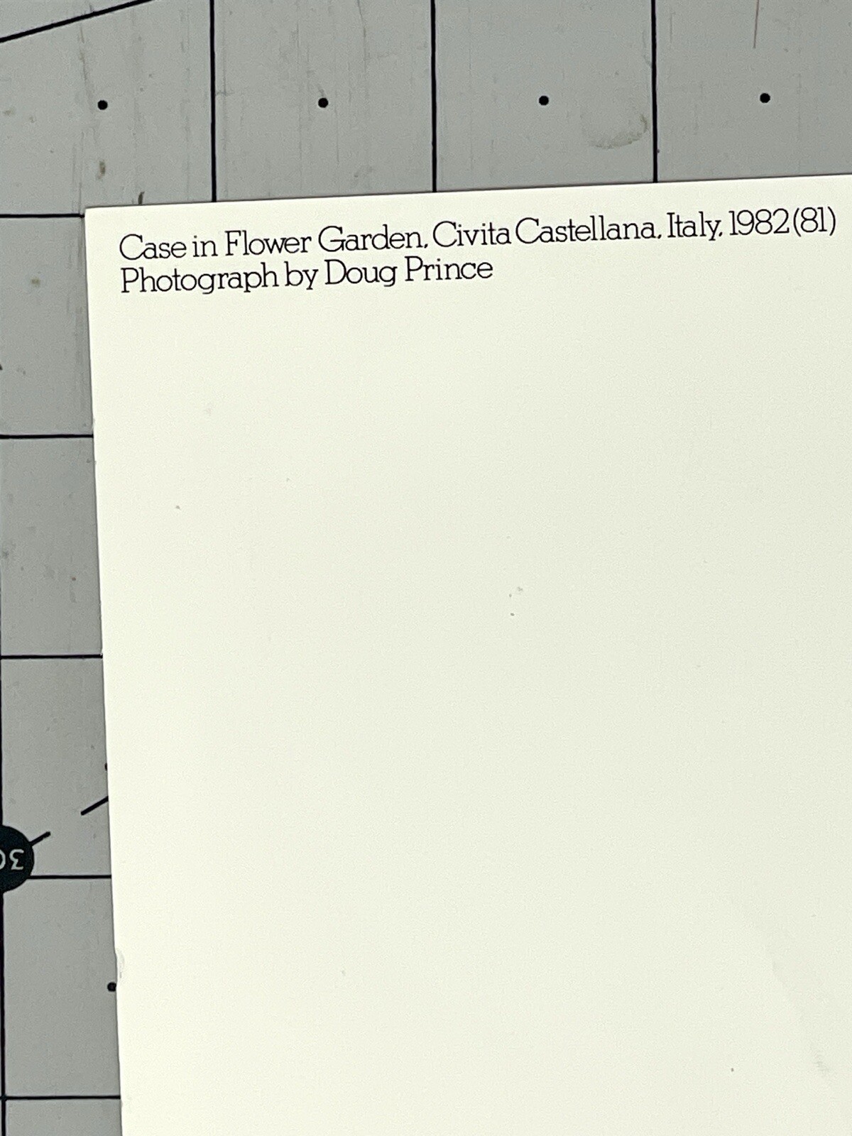 Doug Prince (b. 1943) Case In Flower Garden – 1983 Witkin Gallery Art Photo Card