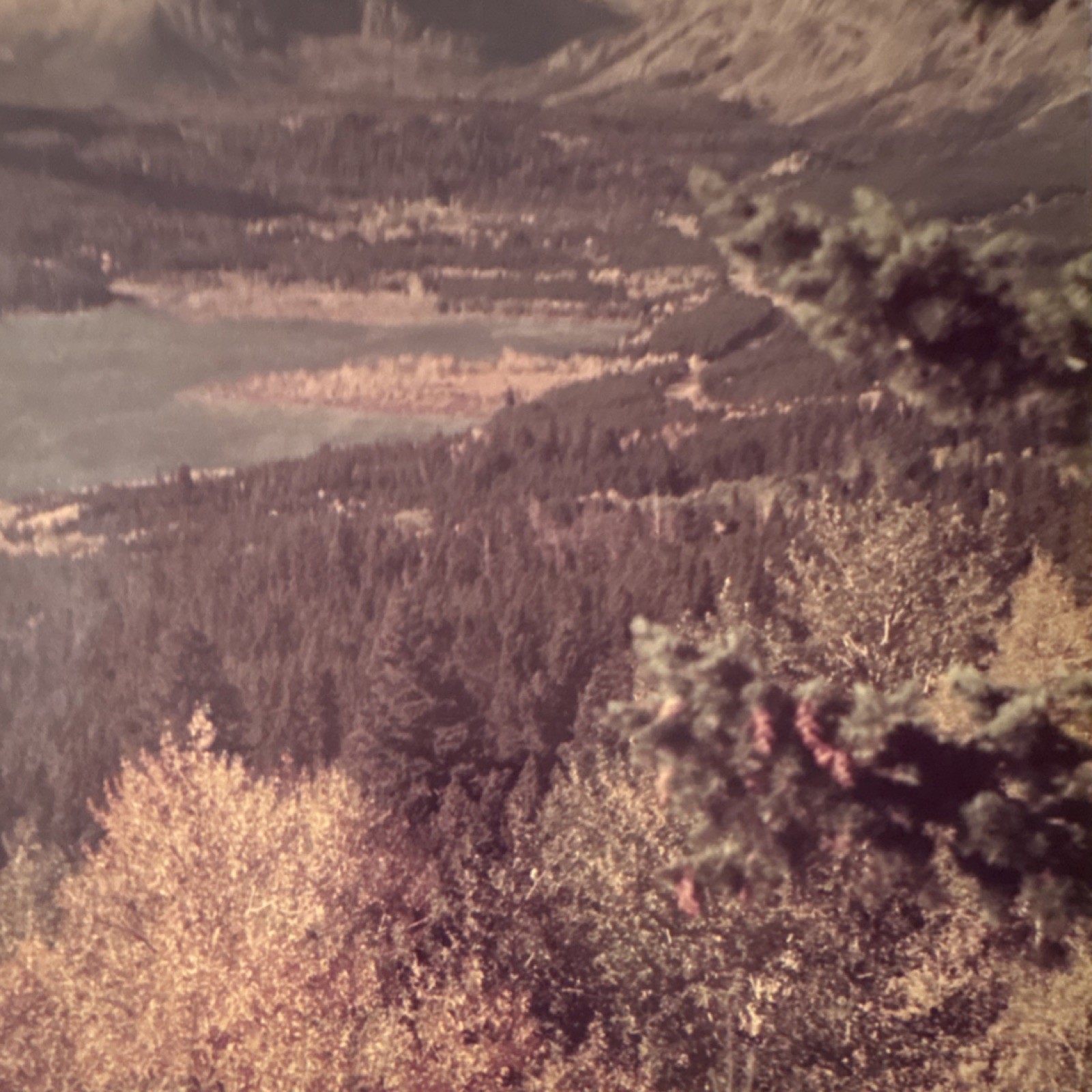 Vintage Glacier National Park St Mary Lake Large Framed Double Matted Photo