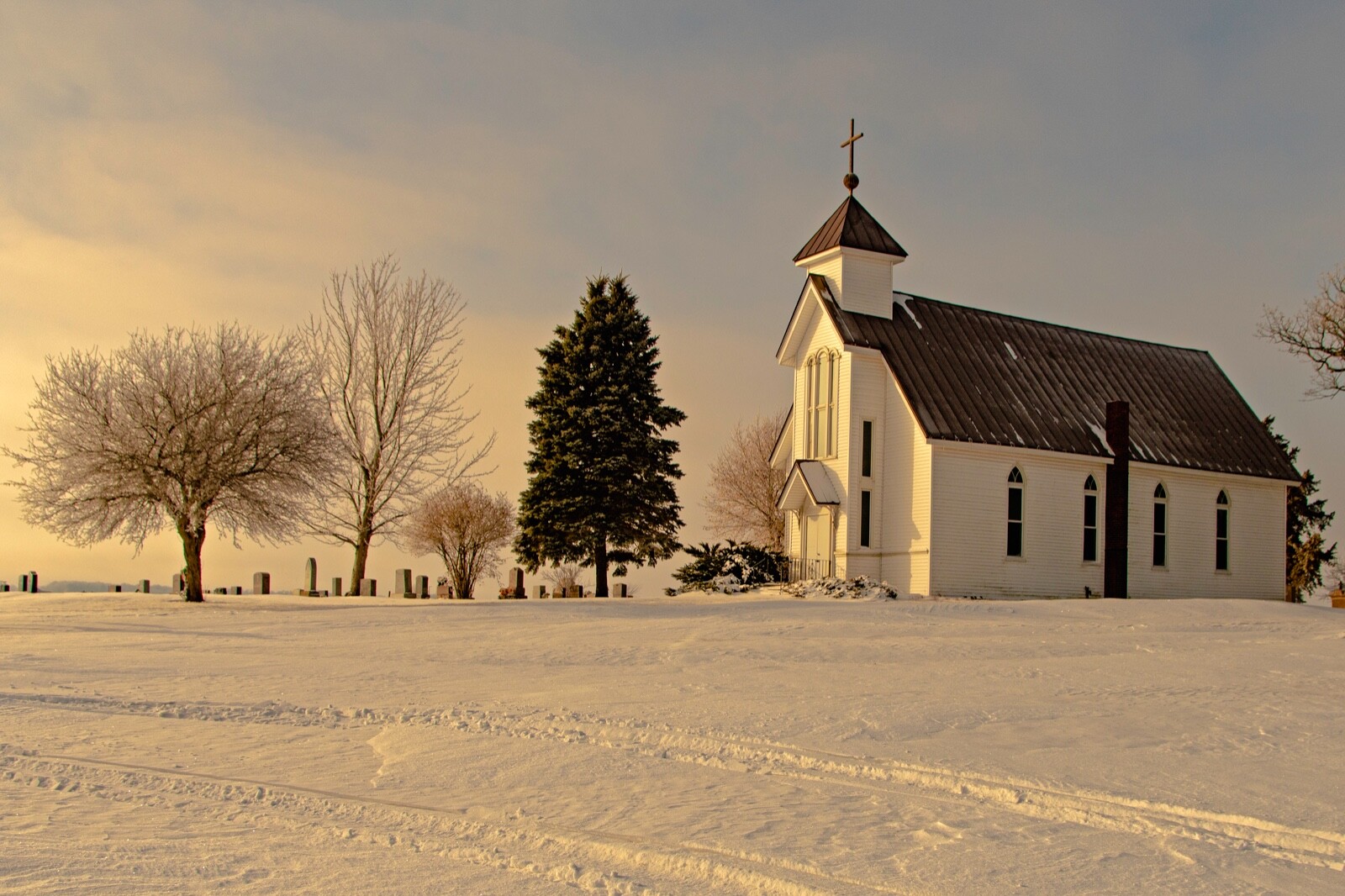 Winter Scene Minnesota * Starving Artist * 16×24 Canvas Landscape Print