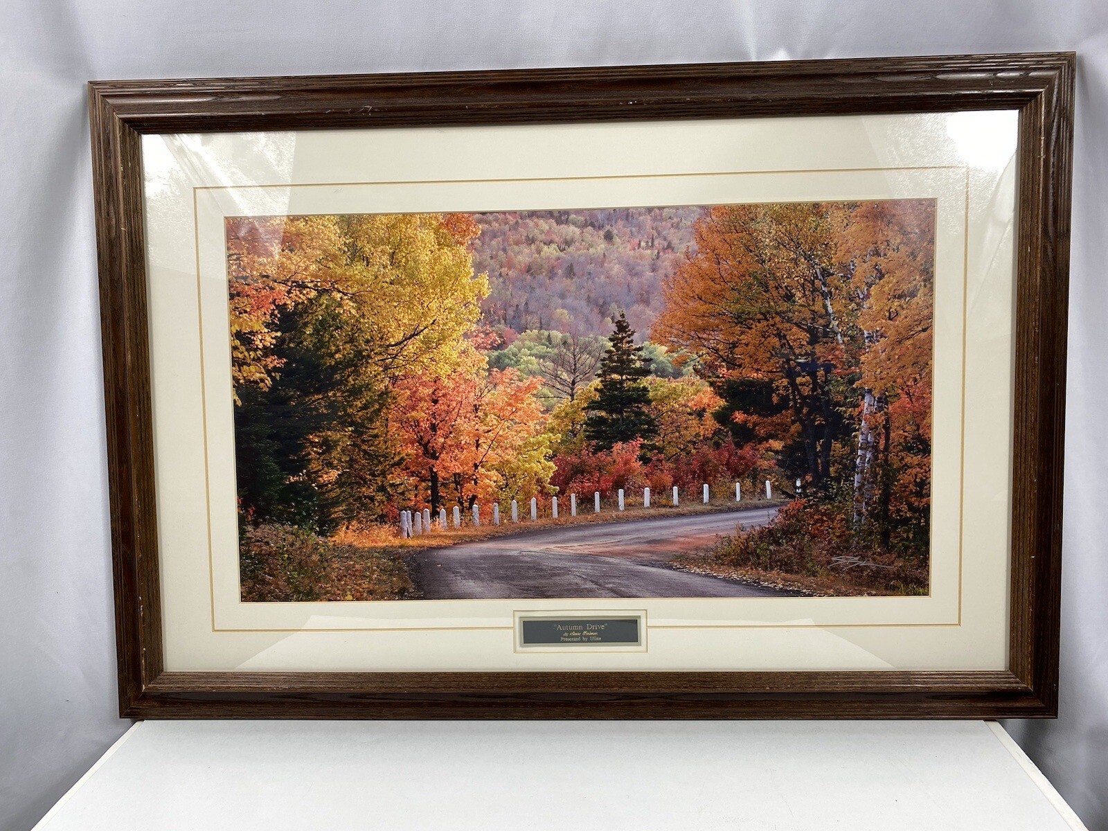 Steve Primm Autumn Drive Landscape Art Panoramic Photo Print Signed