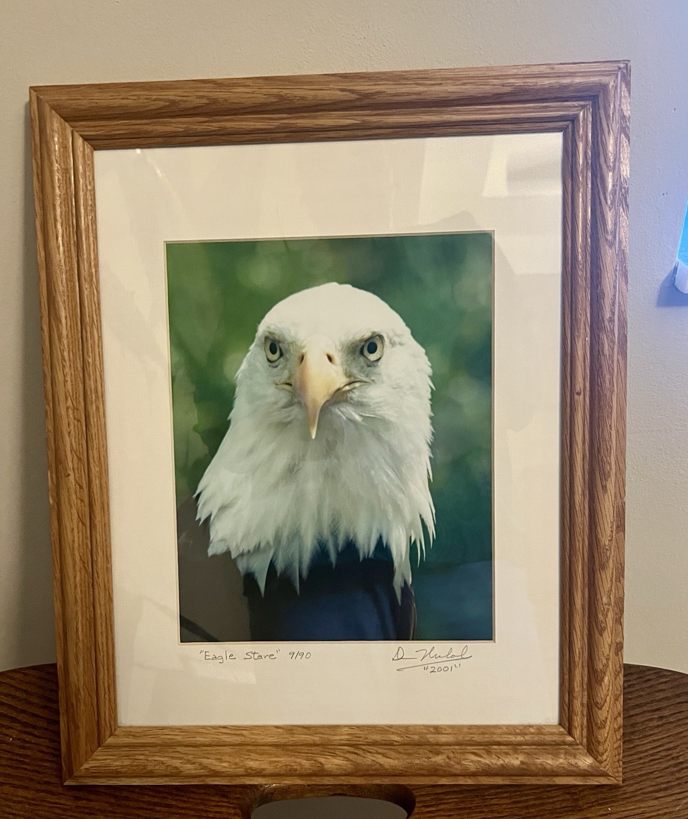 “Eagle Stare” Photograph 9/90 2001 framed under glass wall art Bald Eagle signed