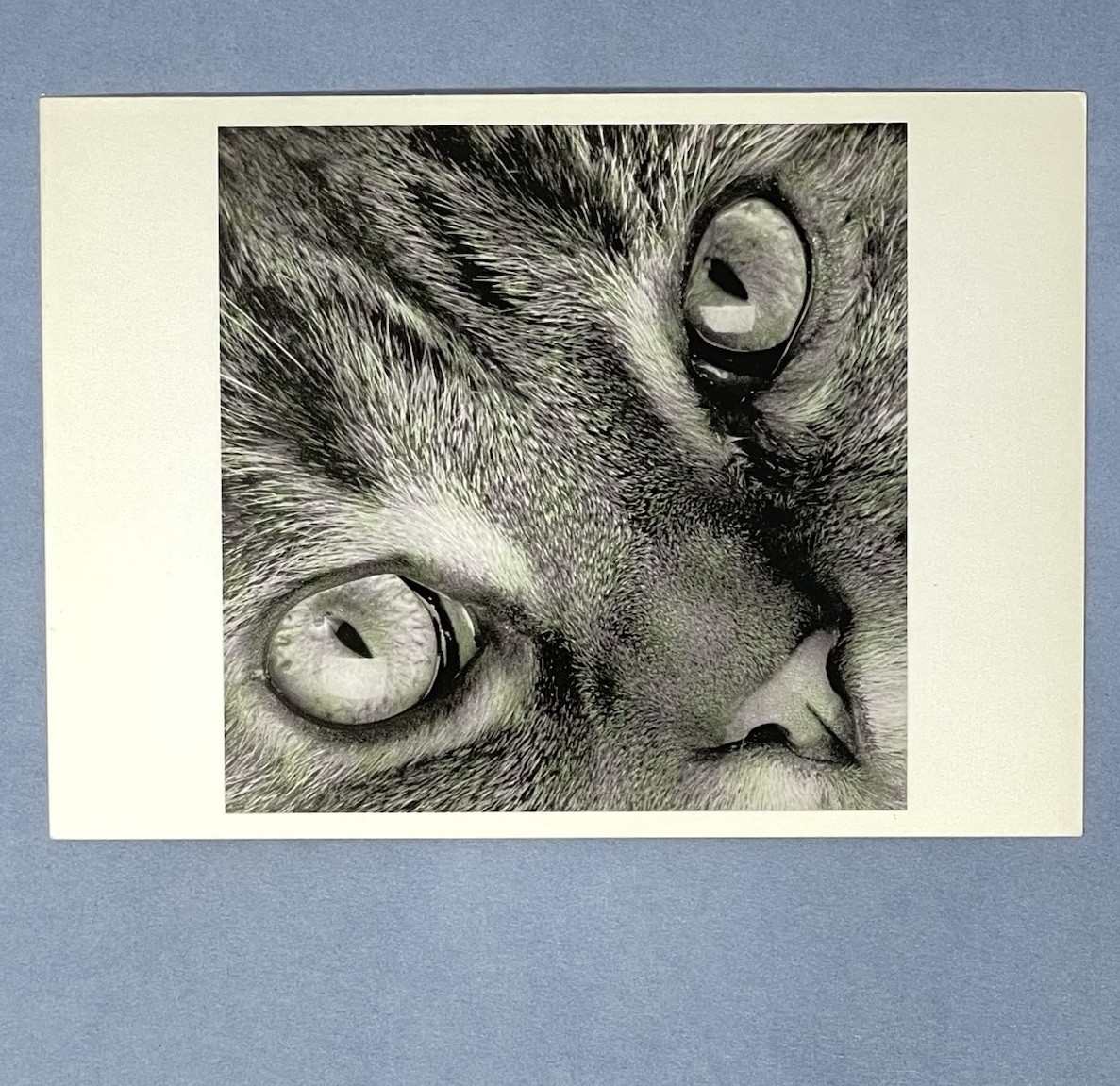 Edward Maxey (Edward Mapplethorpe) Fotofolio Art Photo Print Card – Manny, 1988