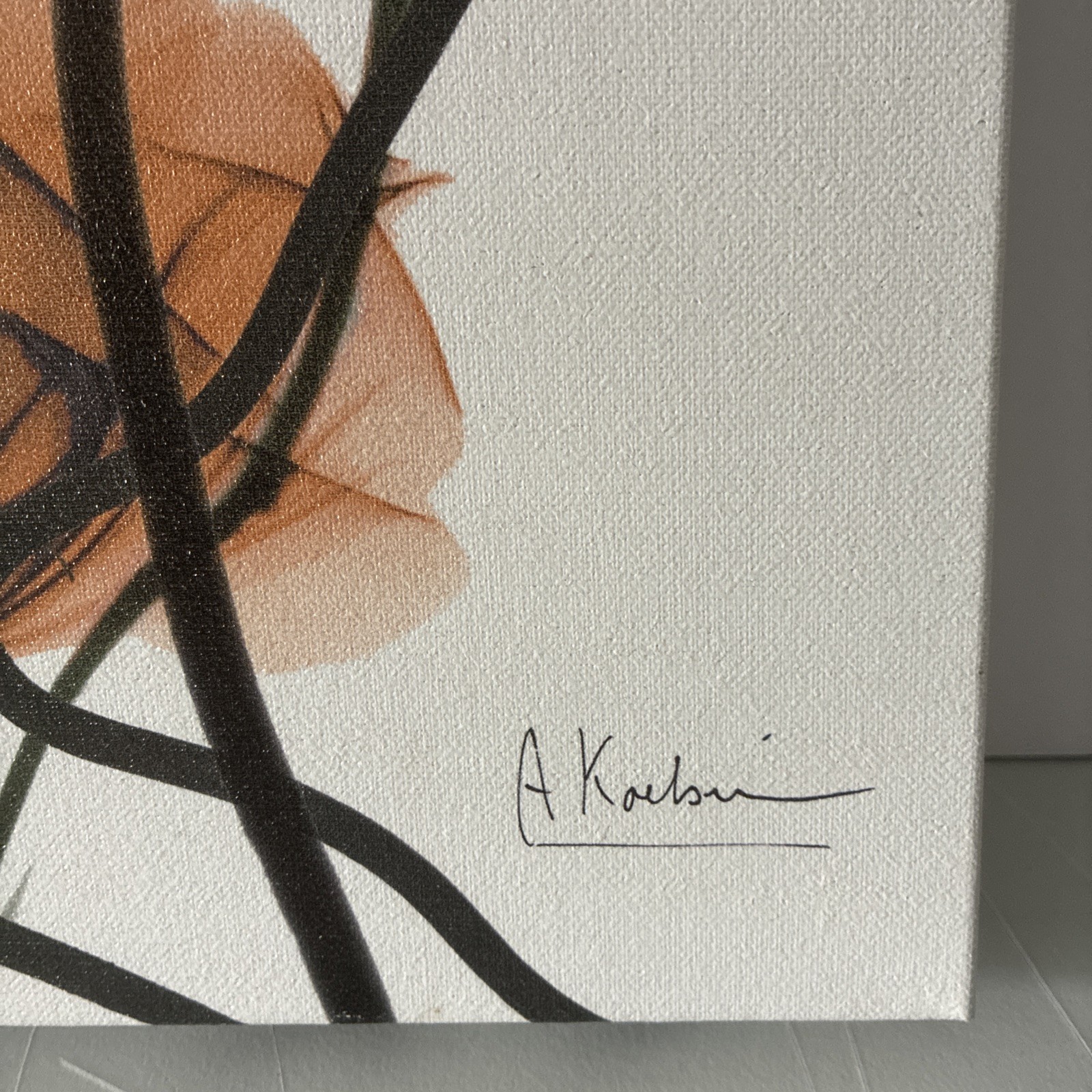Albert Koetsier 19 1/2 x 15 1/2 Radiographic On Unframed Canvas Flowers Images