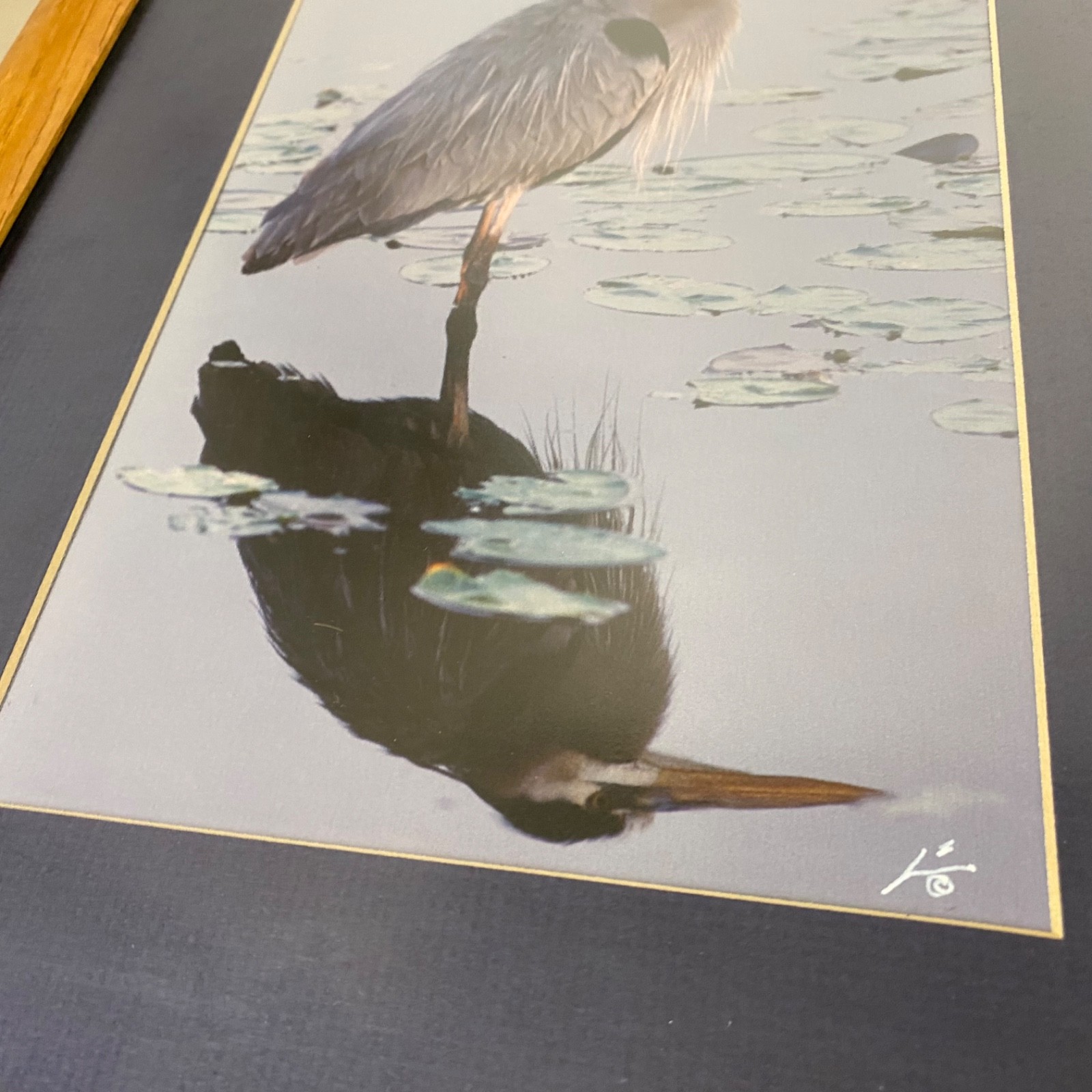 James Stamates 92 • Framed Art Photo • Reflection of Nature • Great Blue Heron