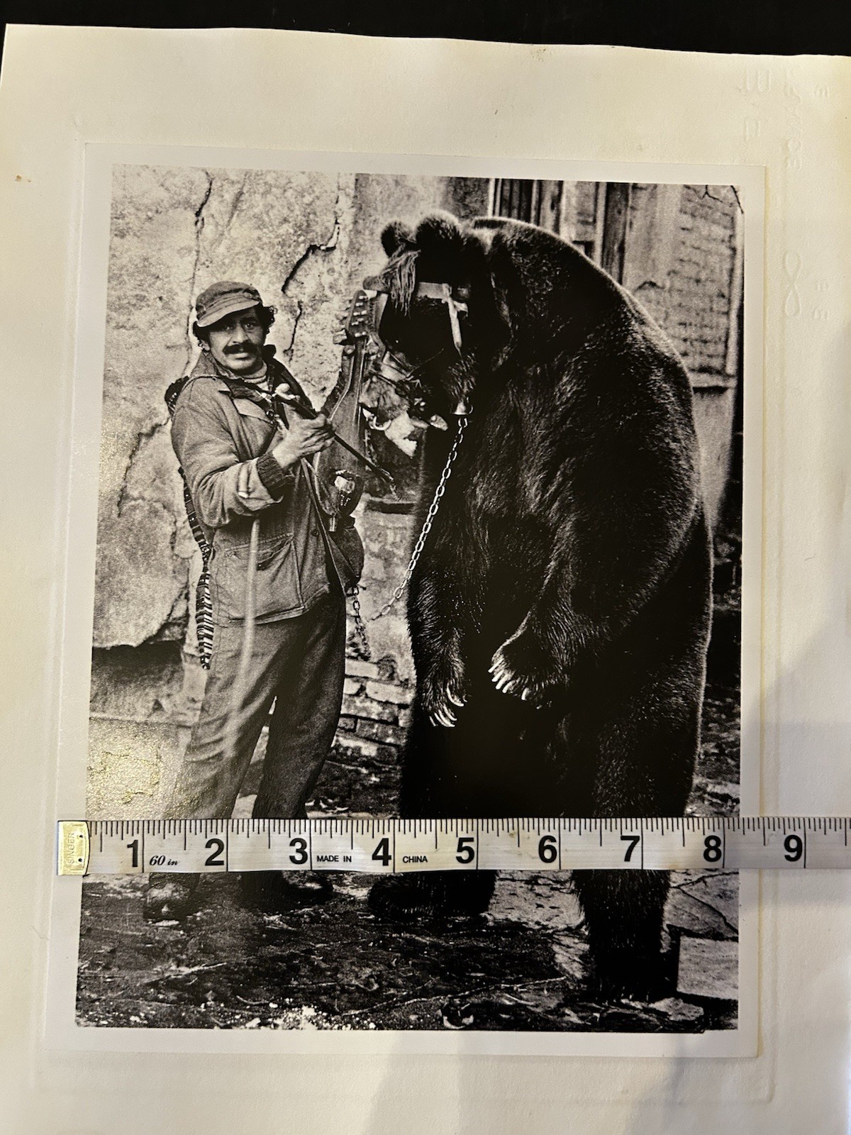 Jacko Vassilev-Silver Gel Print-Award Winning Photographer-“Dancing Bear” SIGNED