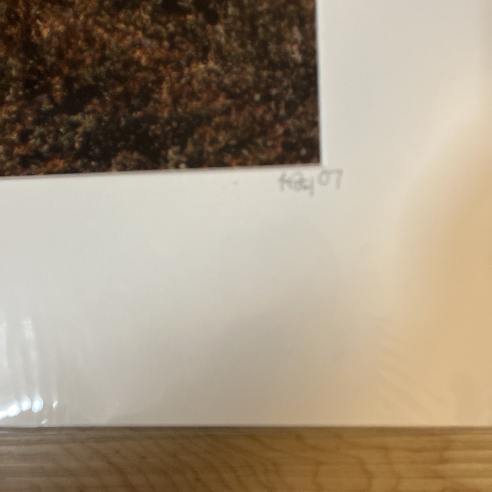 Common White Egret Matted Photo 16×20 Signed K. Fox Coyote Hills Regional Park
