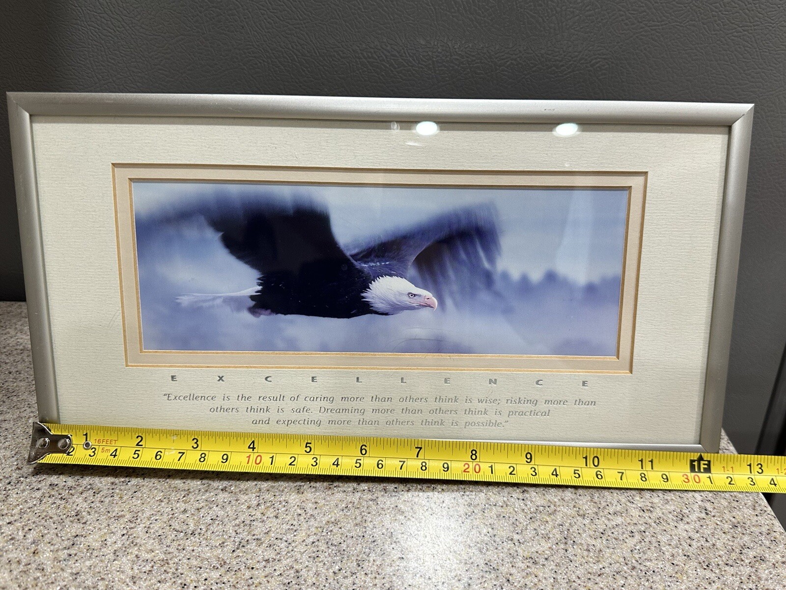 Excellence “King Of The Skies” Eagle Portrait, Photography By Frank Oberle EUC