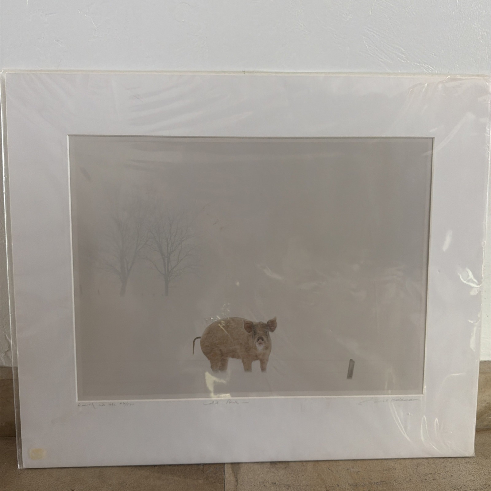 Vintage Bill Coleman Signed Numbered Matted Cold Pork Pig Photograph AMISH