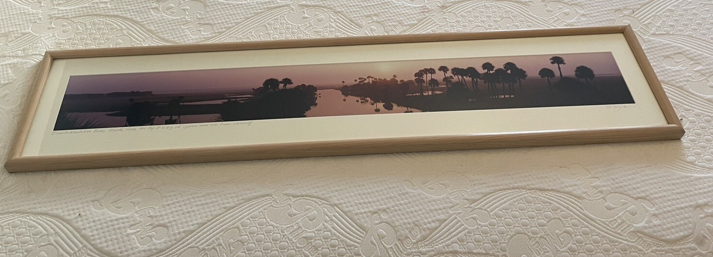 Panoramic Framed ECON Top Econlockhatchee River Florida Steve Vaughn 52:11’