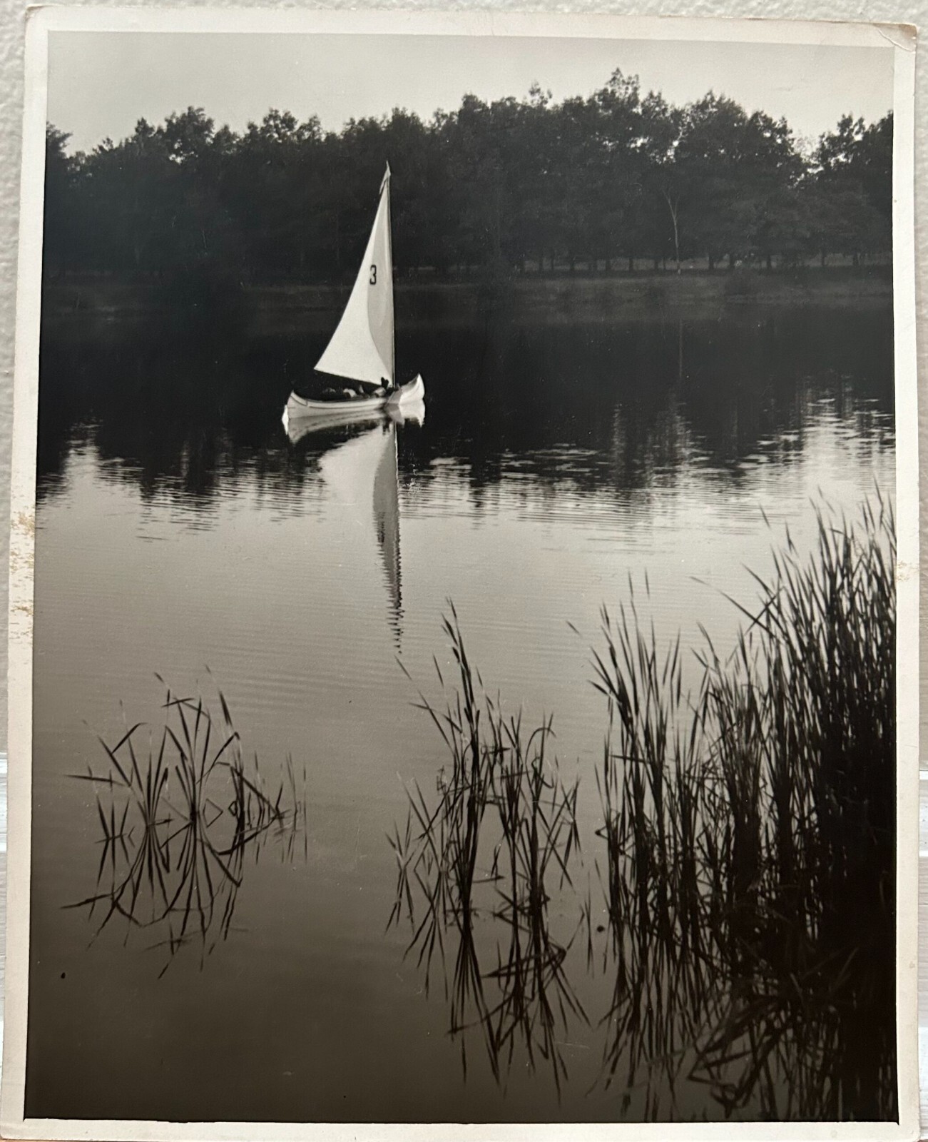 Arthur Gray Standard Oil Photographer Cleveland Ohio Americana Sailboat on Lake!