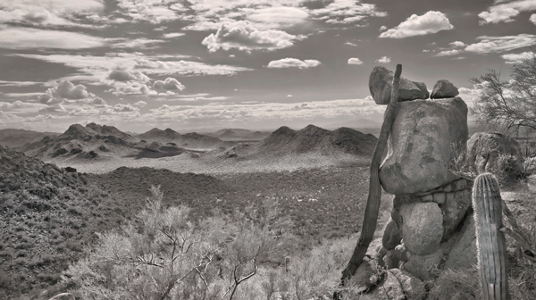 Photography Art Print of Arizona Desert Landscape in Black and White with Frame