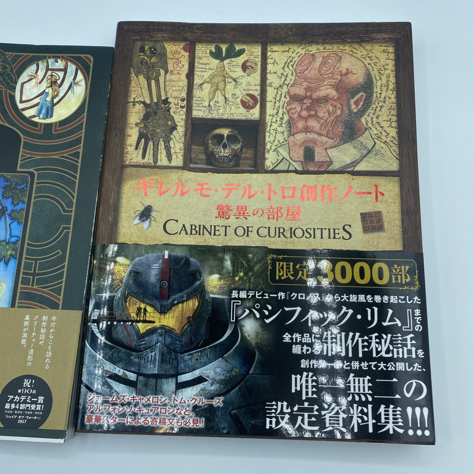 Guillermo del Toro 2 Book Set Cabinet of Curiosities + Pan’s Labyrinth Japan Art