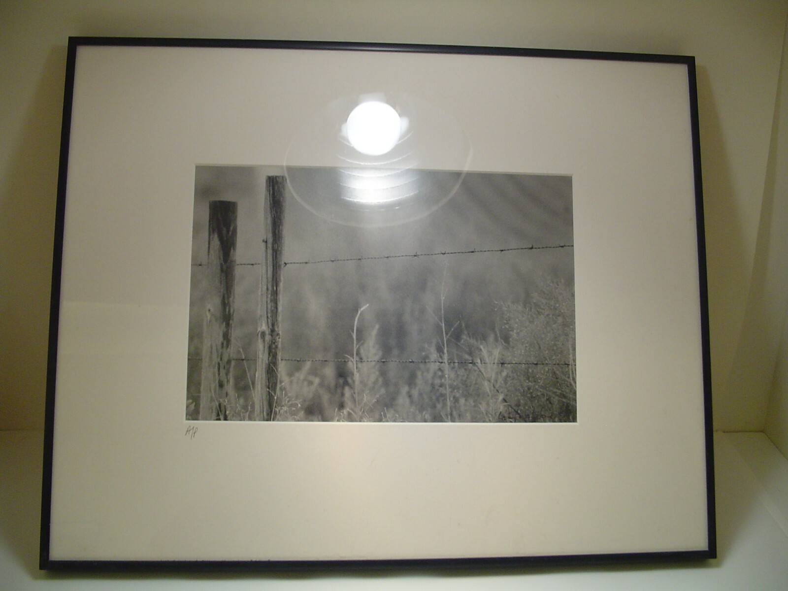 ART PHOTOGRAPHY A fence with grass black & white by L. Santucci Frames 16x20in
