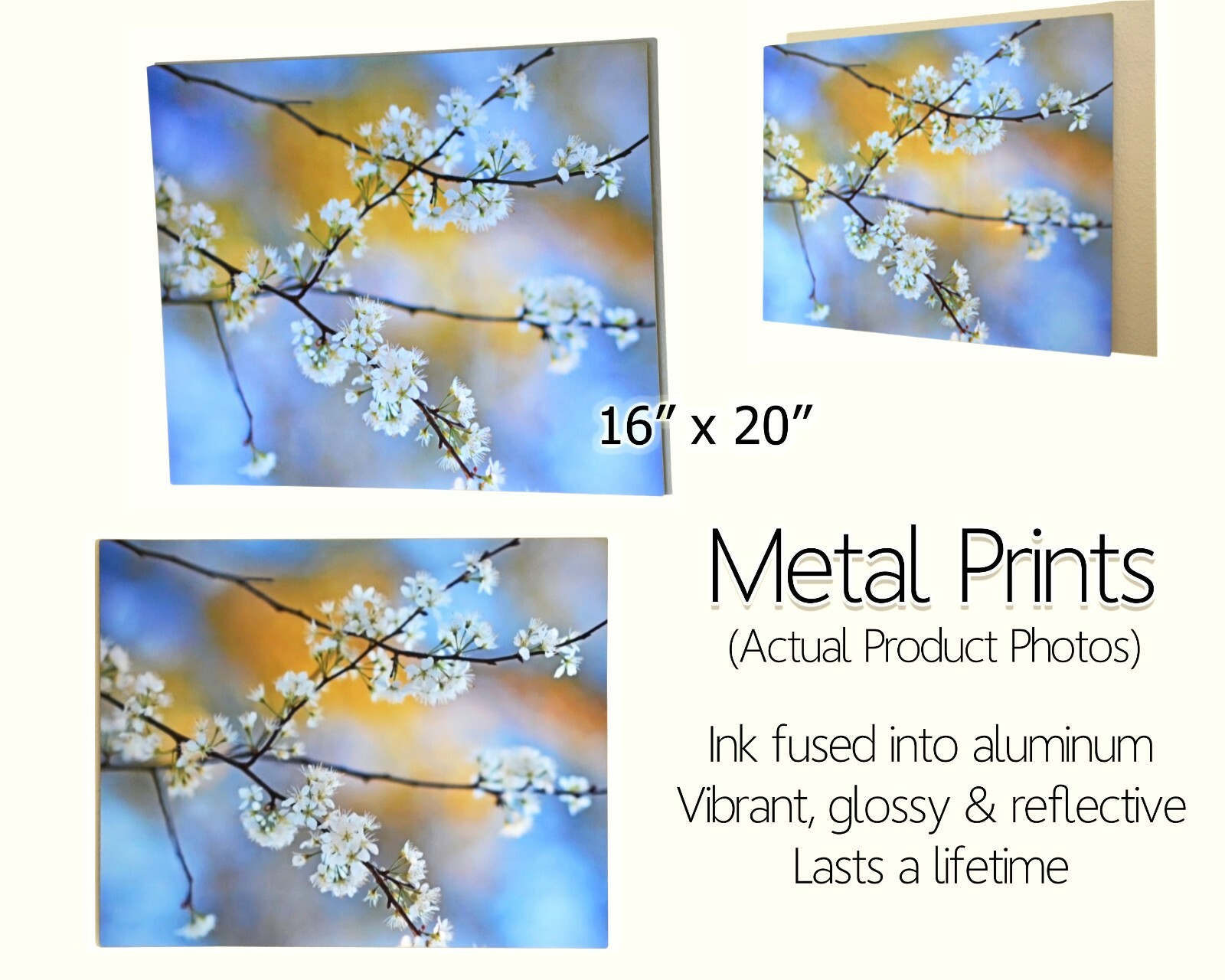 Purple Bromeliad, Abstract Floral, Nature Fine Art Photo, Metal, Canvas, Paper