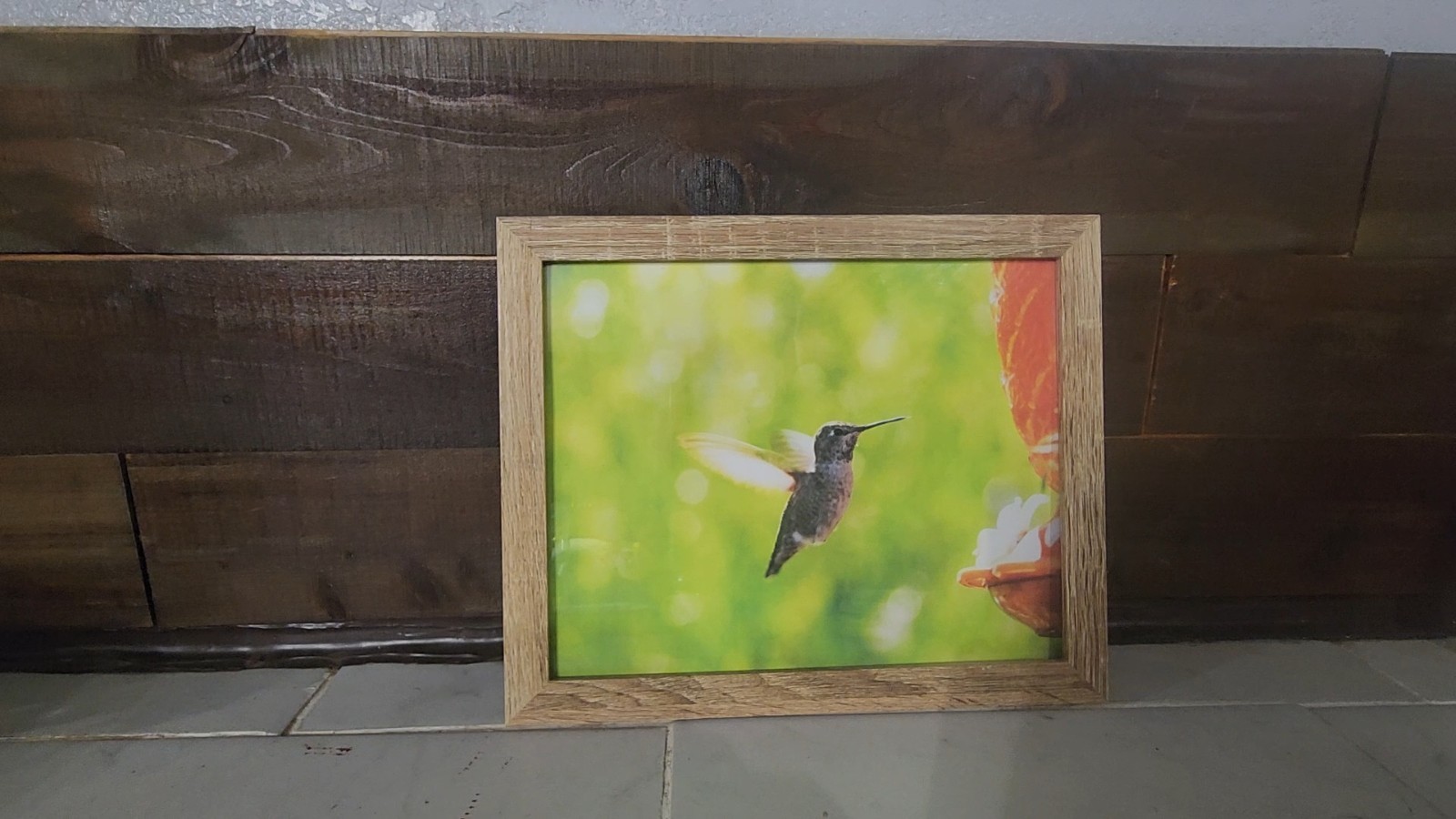 8×10 Original Hummingbird in Flight Photo Print – Nature Bird Photography