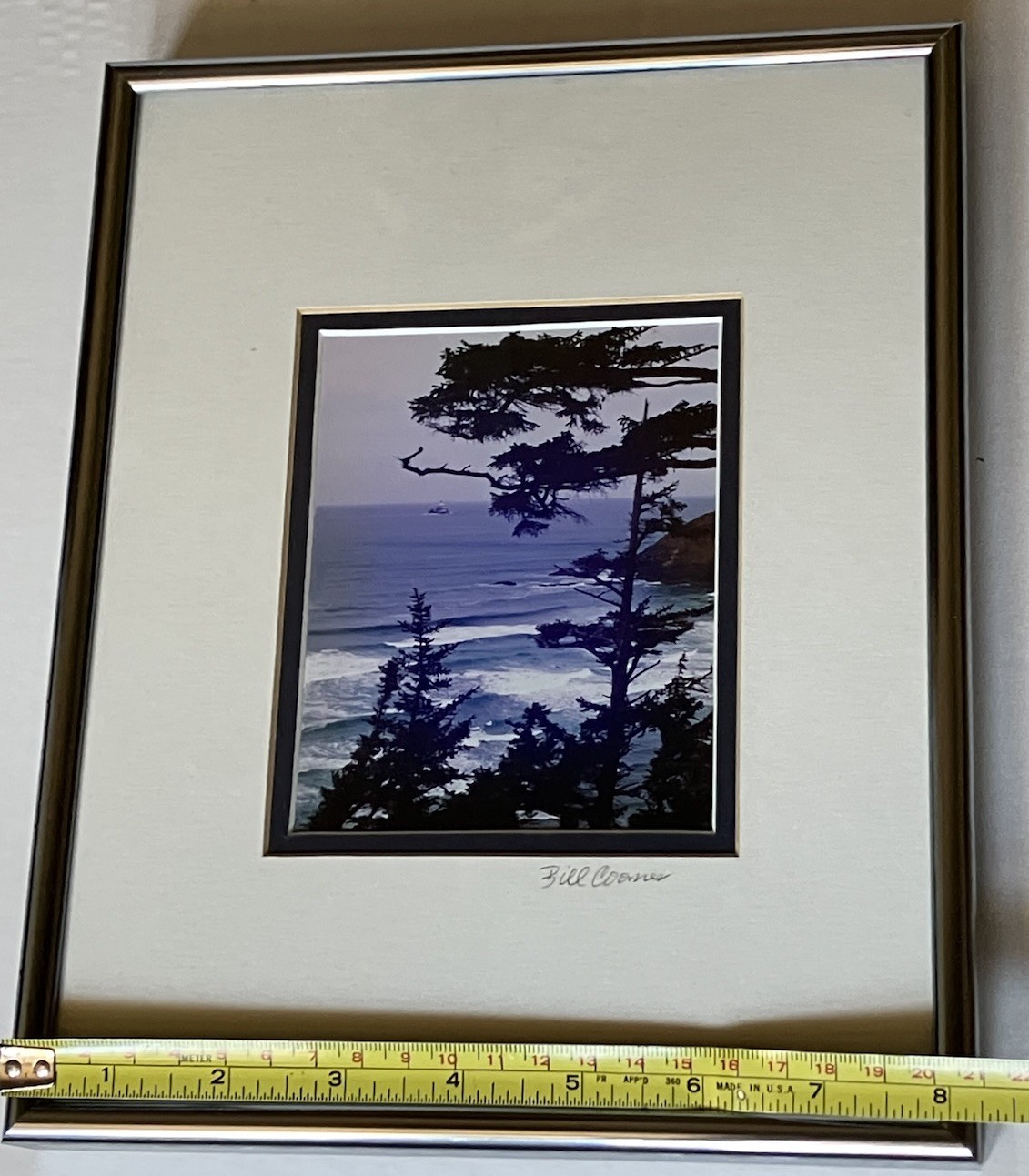 Oregon Coastal Photograph Ecola State Park Framed/ Matted Bill Coons 10 X 8 Inch