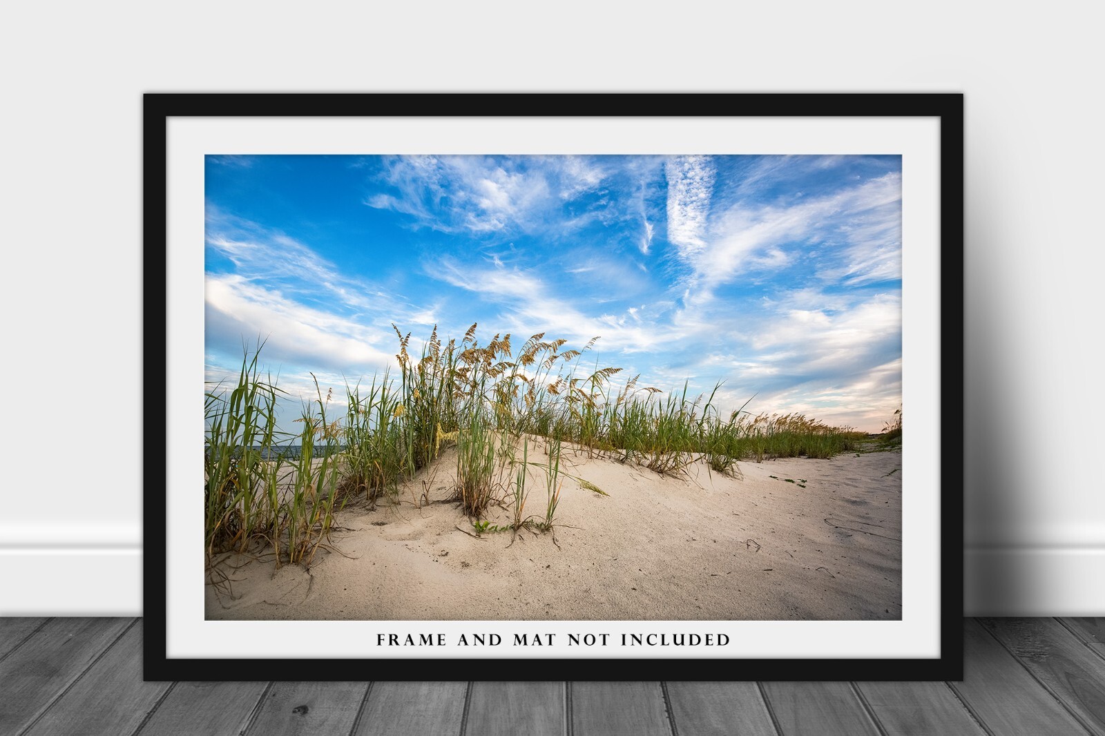 Coastal Photography Print – Picture of Sand Dunes and Sea Oats in South Carolina