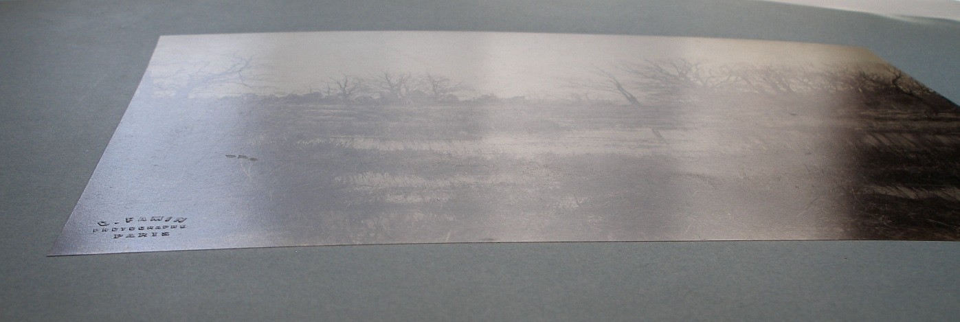 CONSTANT ALEXANDRE FAMIN mounted albumen [Marsh Landscape] Fontainebleau Forest