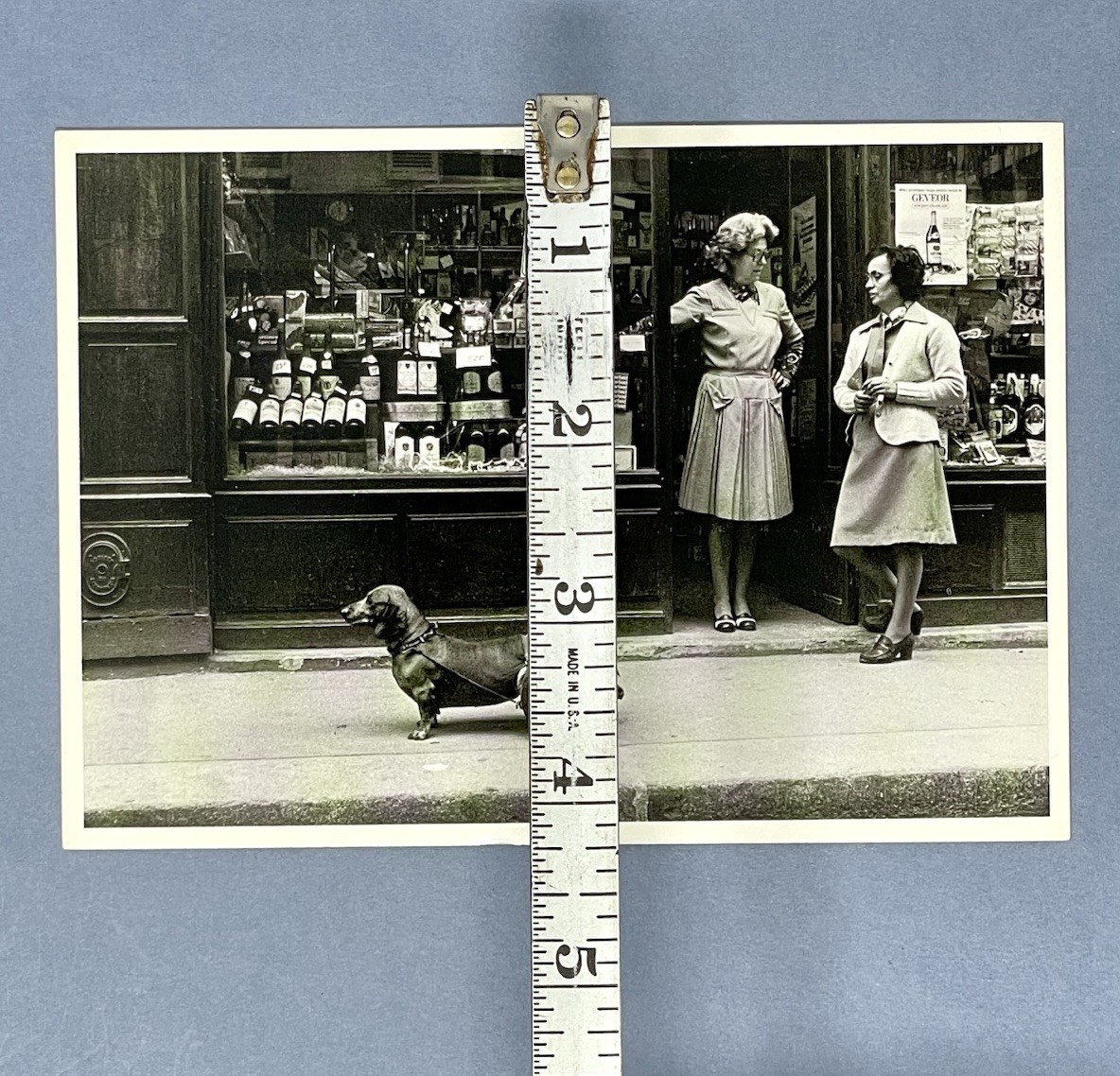 Robert Doisneau Art Photo Print Card – Dog On Wheels, 1977 – Fotofolio 4”x6”