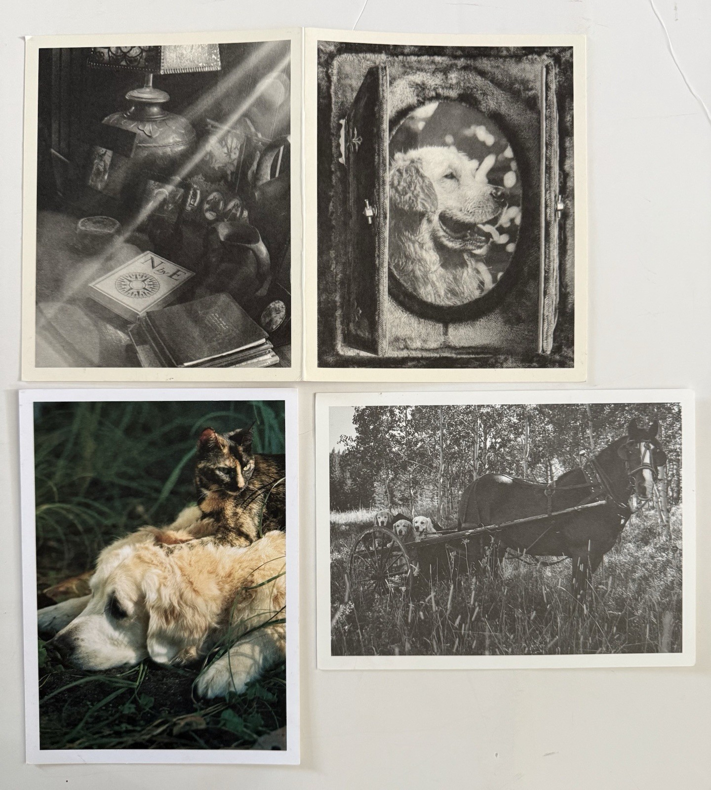 Set Bruce Weber Original SIGNED Holiday Cards 1999, 2017, 2019 Privenance Rare
