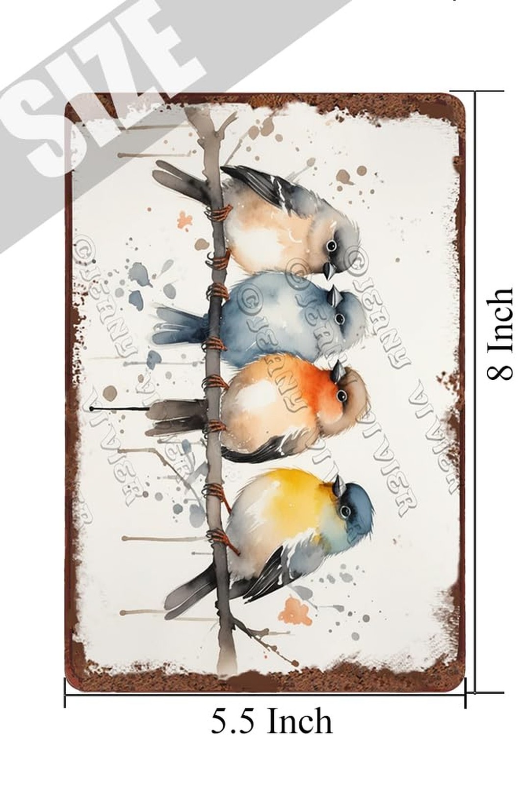 Vintage Birds Metal Wall Decor, Watercolor Bird Art Print, Rustic Tin Sign, H…