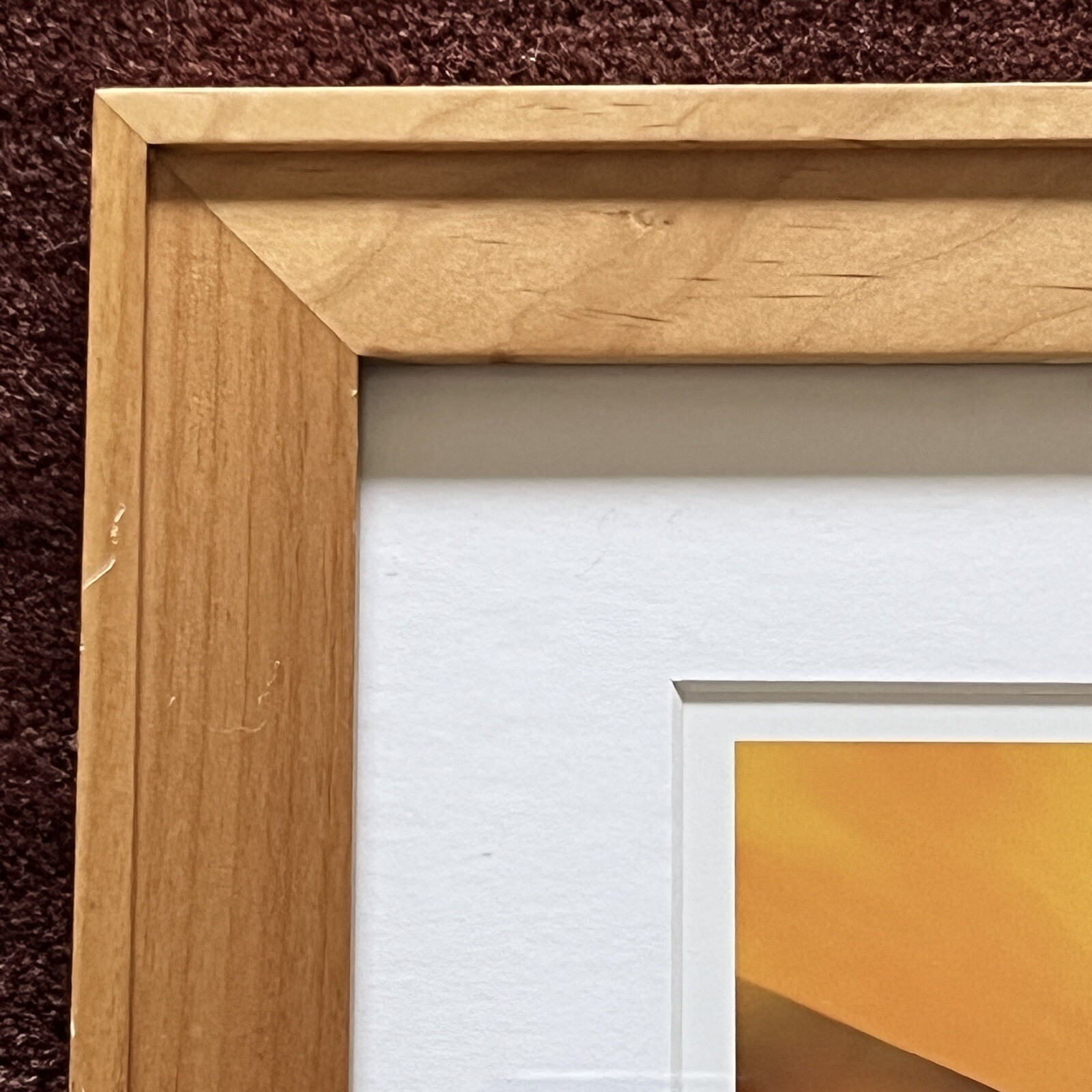 California Poppy Flower Art Photograph Signed & Framed