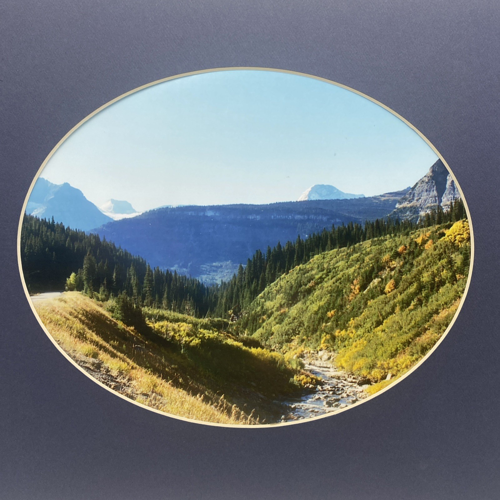Matted Forest Mountain Landscape Photo Print 11 X 14 Wall Art Gallery Decor