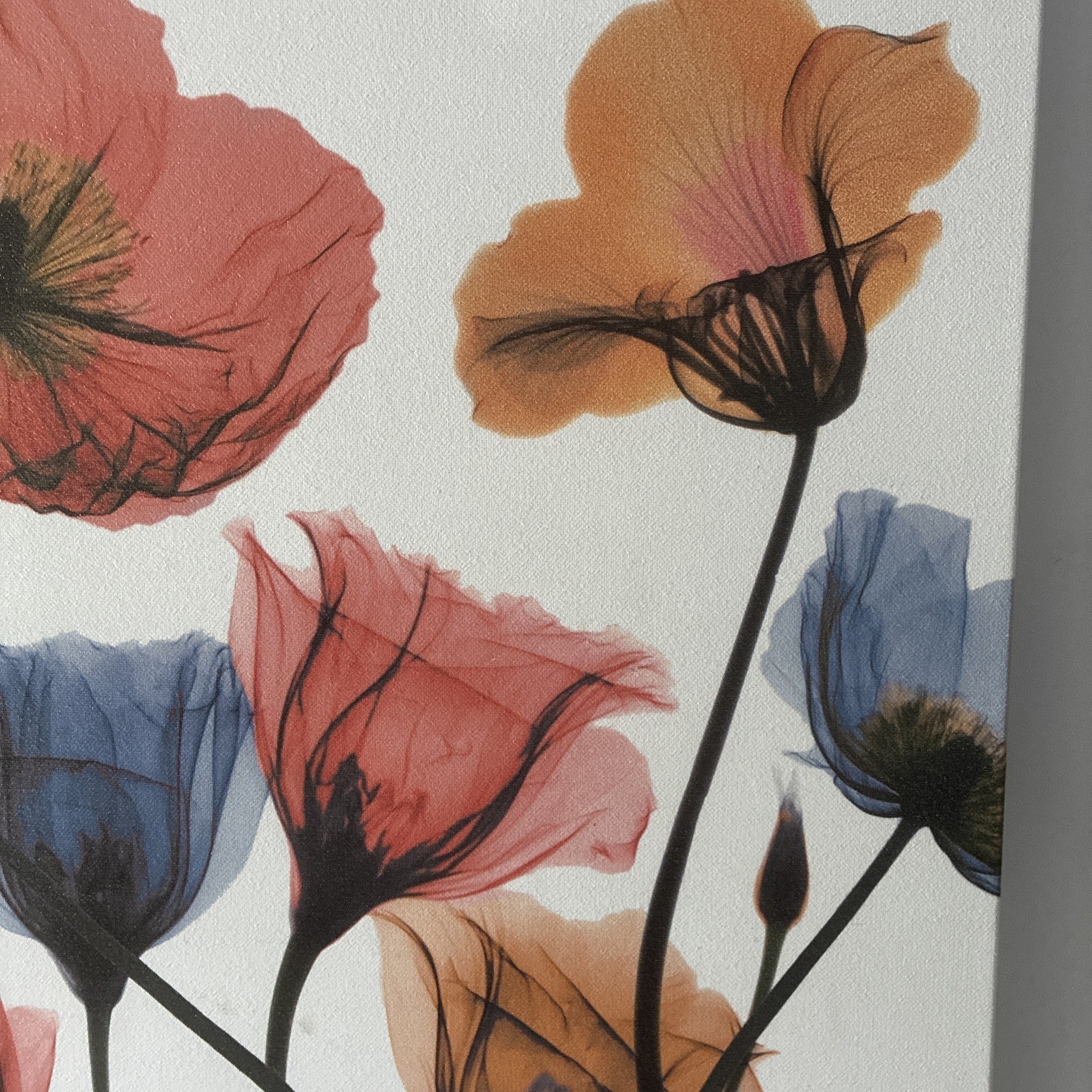 Albert Koetsier 19 1/2 x 15 1/2 Radiographic On Unframed Canvas Flowers Images