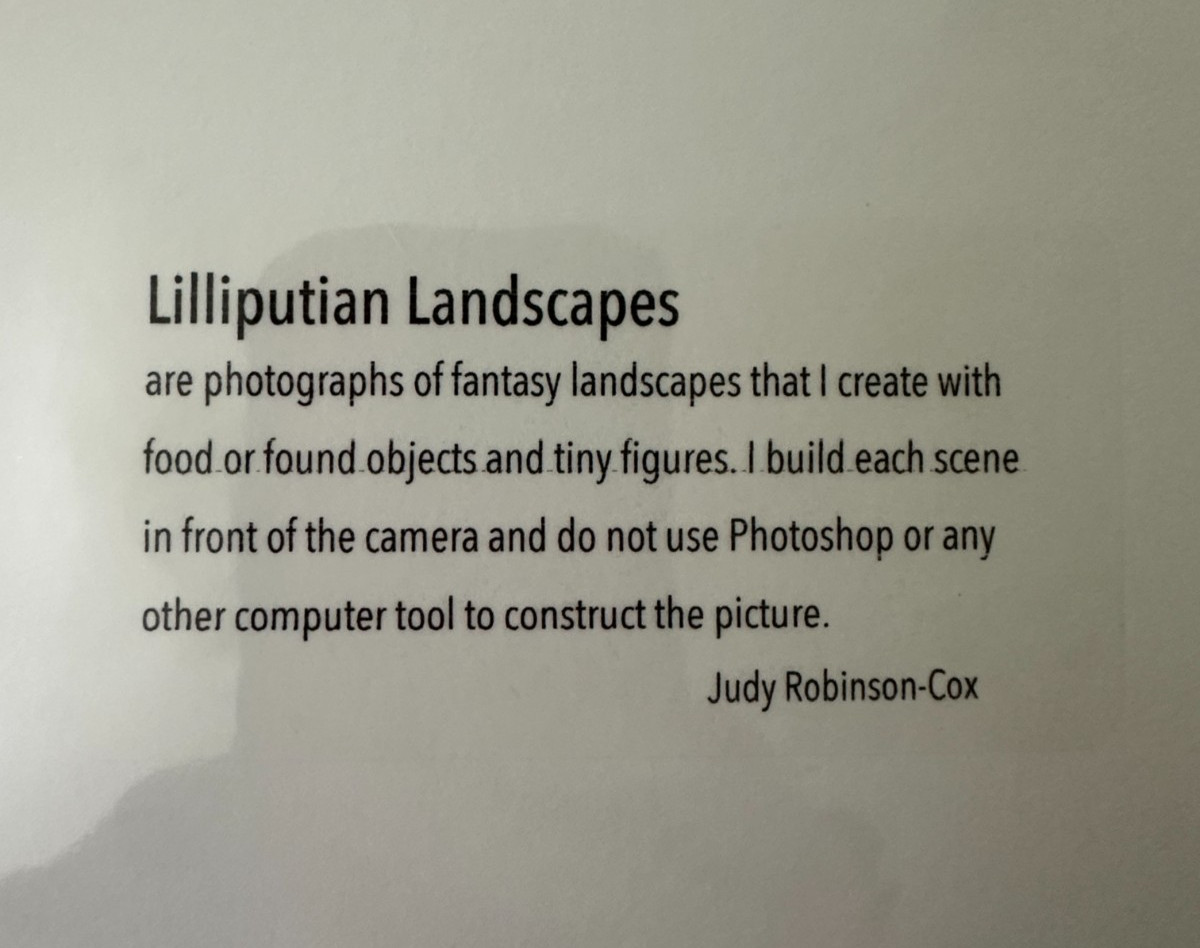 JUDY ROBINSON COX Photograph 8×10 Liliputian Series Sushi Fishermen 43/50 Matted