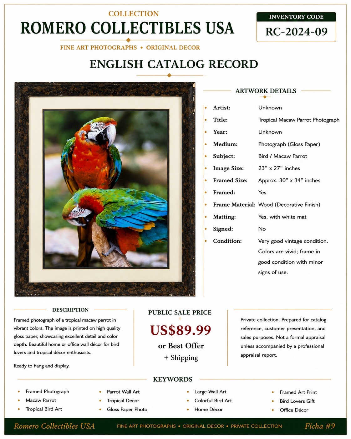 Framed Tropical Macaw Parrot Photograph Wall Art 23×27 Colorful Bird Decor