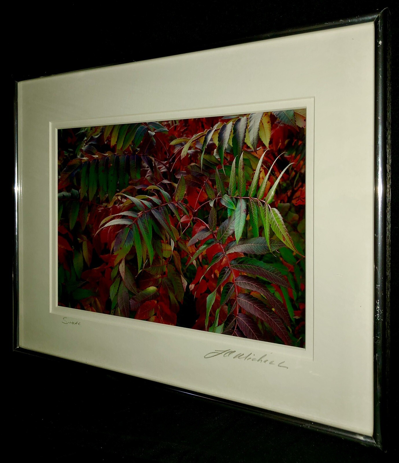 J A Micheal Signed Print Framed SUMAC Arborist Flowers Garden Home Decor 14×11