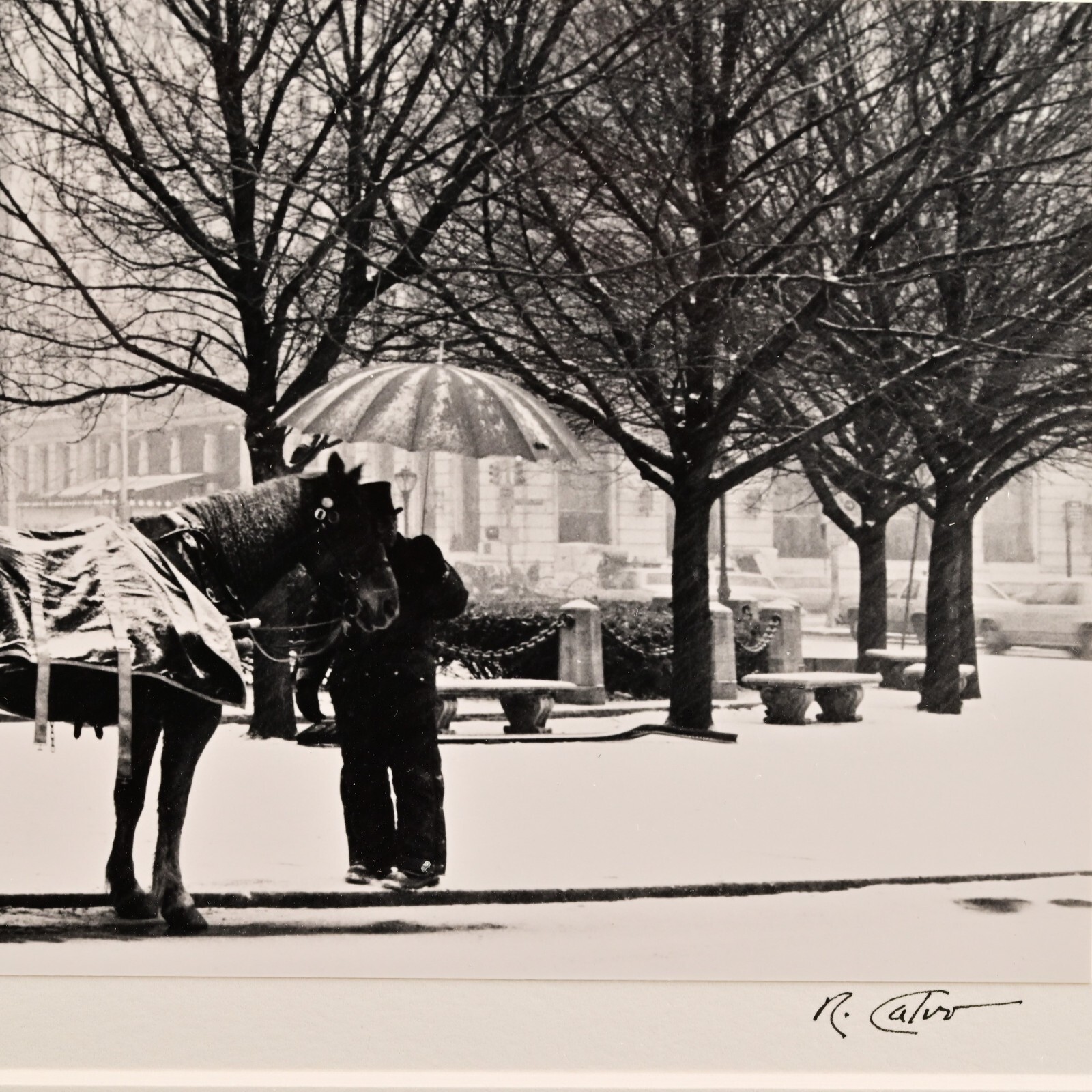 RICHARD CALVO Original Vintage Signed Central Park NY Horse Carriage Photograph