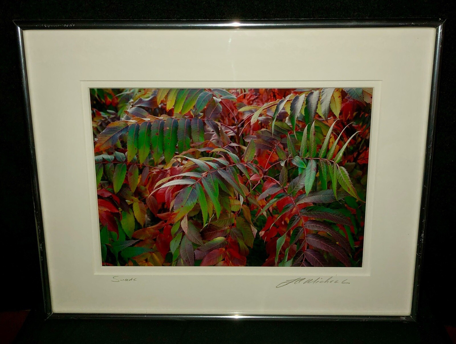 J A Micheal Signed Print Framed SUMAC Arborist Flowers Garden Home Decor 14×11
