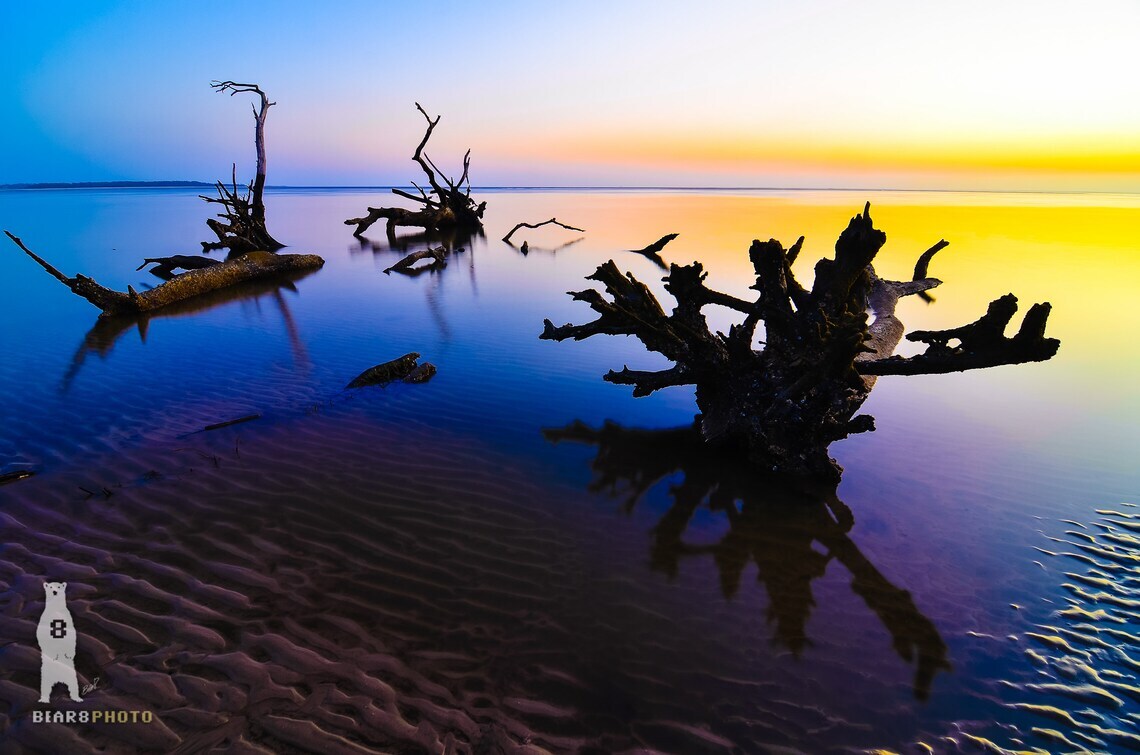 Boneyard Beach Sunrise – Big Talbot Island Florida – Fine Art Photography Prints