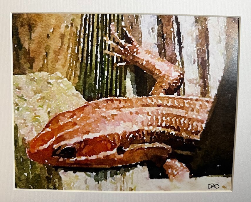 Lizard Digital Watercolor Original Photograph 8 X 10 Matted To 11 X 14 – Signed