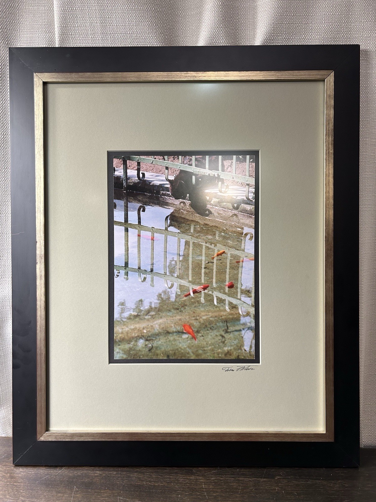 Original Photograph Black Cat Koi Pond Signed Framed Matted Truguard UV Guard