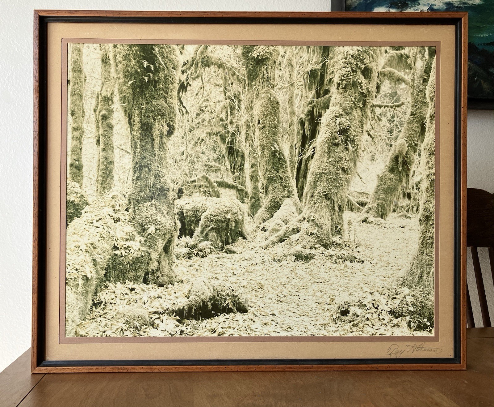Ray Atkeson Original Photo Large Frames Signed Old Forest Landscape Oregon
