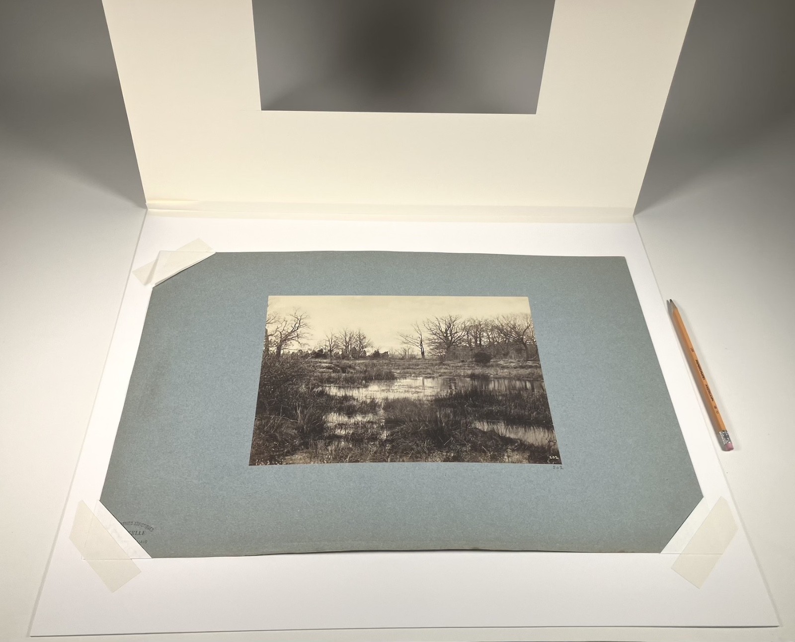 CONSTANT ALEXANDRE FAMIN mounted albumen [Marsh Landscape] Fontainebleau Forest