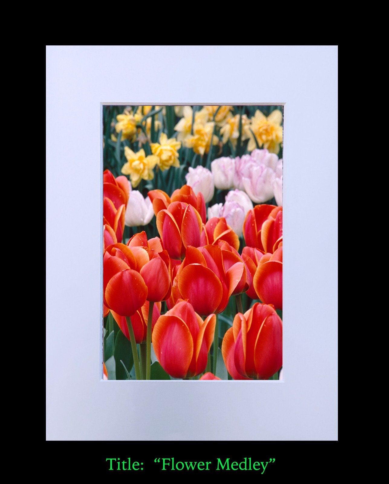 matted photograph, 5″x7″ print, mounted 3/16″ foam with 8″x10″ single white mat
