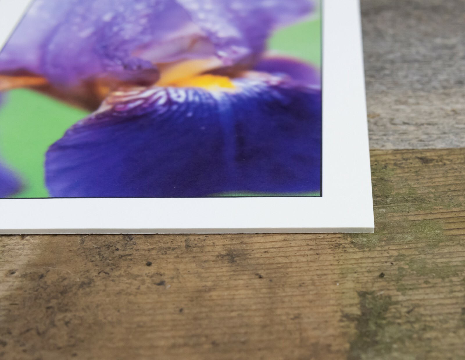 Iris Macro Print, 5×7, Thick Eggshell Texture Matte Paper, Ready to Frame
