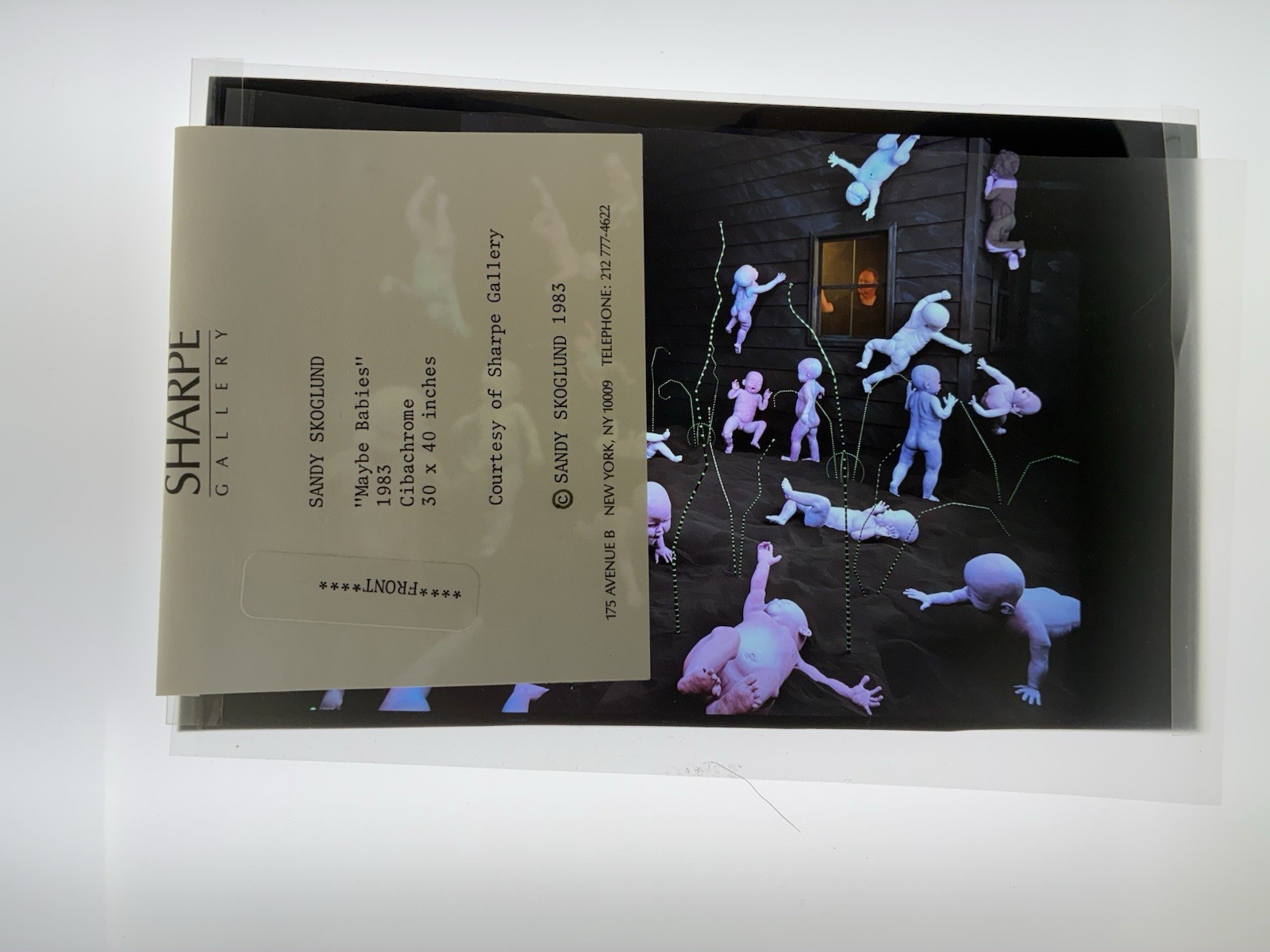 Sandy Skoglund Transparency Archive Lot Revenge Goldfish Radioactive Cats