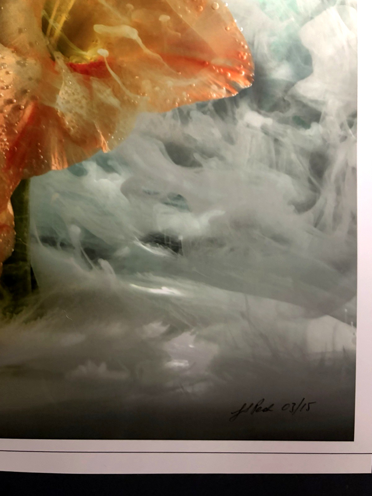 J Scott Peck Ltd Ed. 03/15 Ethereal Lighting Yellow Gladiolus Flower Photo Print