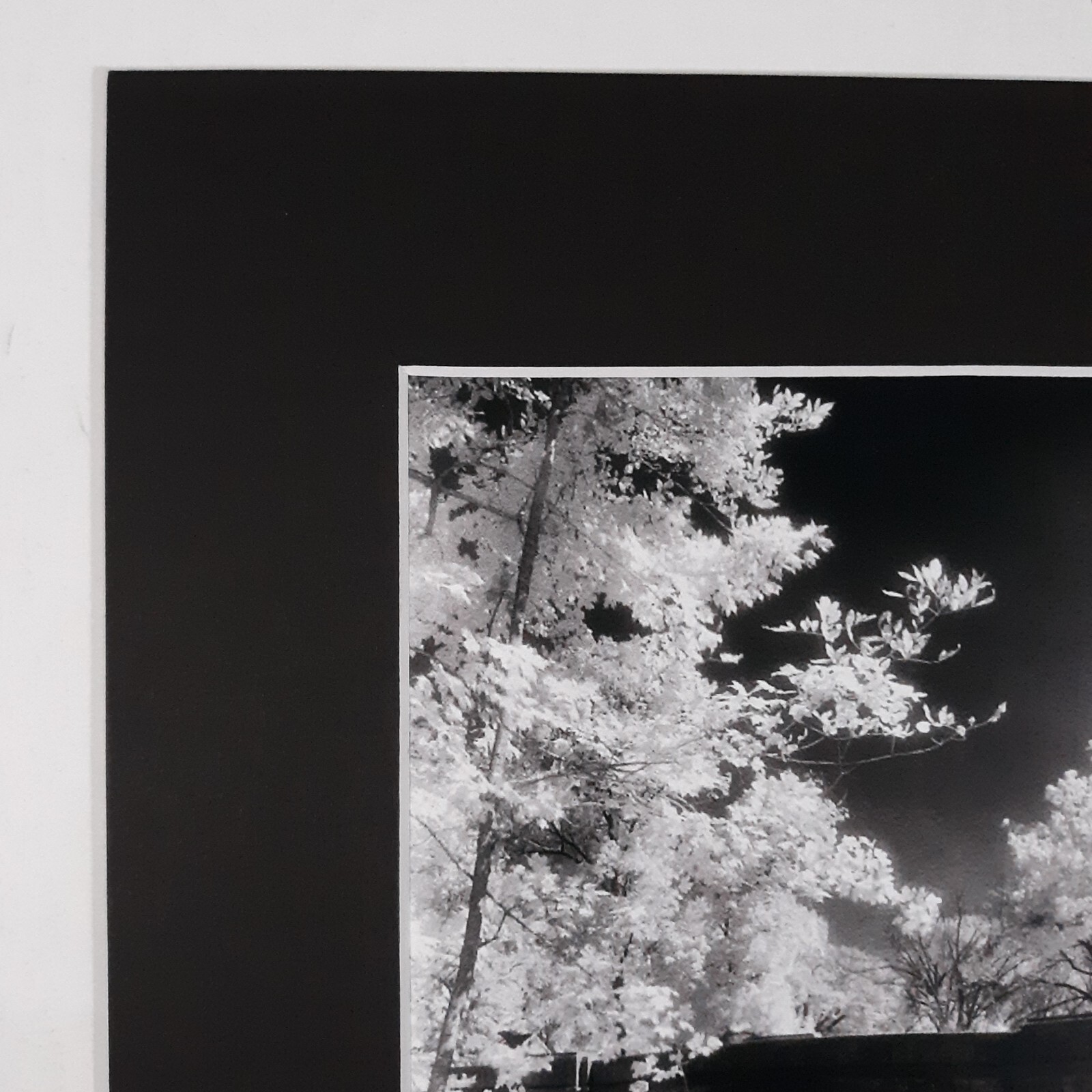 Black Mat Photo Landscape Park Infrared Photography Bridge Trees Art Print