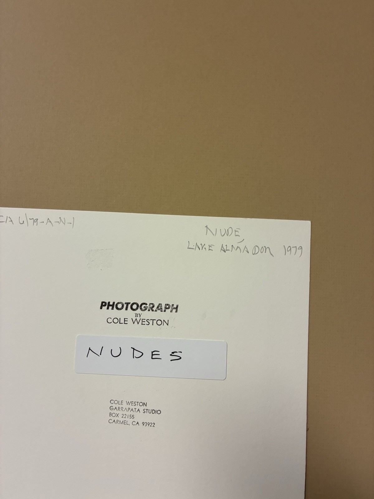 Cole Weston 1979 Gelatin Silver Photograph “Lake Almaden” Stamped Dated
