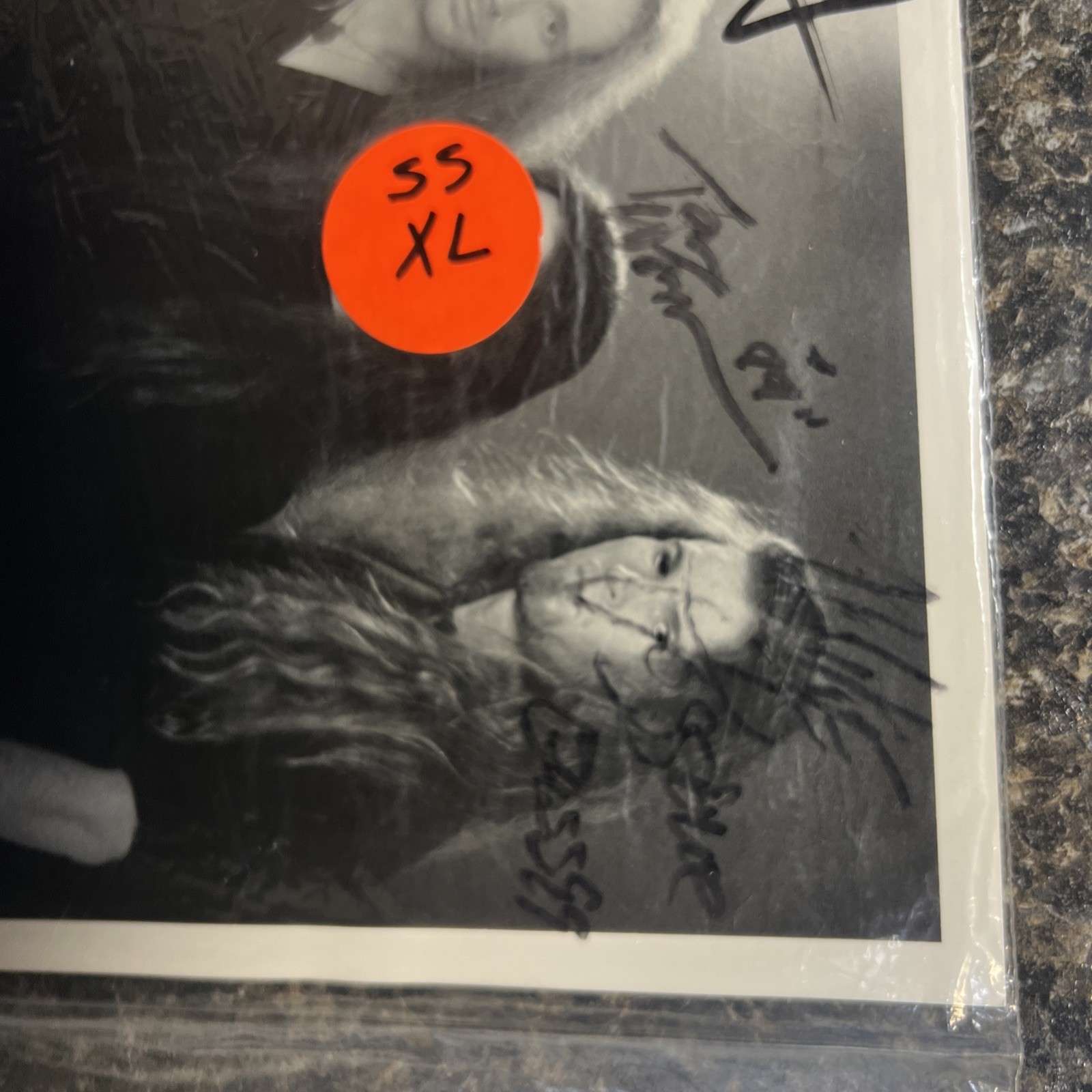 Monstrosity Original Vintage Press Kit 8×10 Promo Photo Insert Autographed