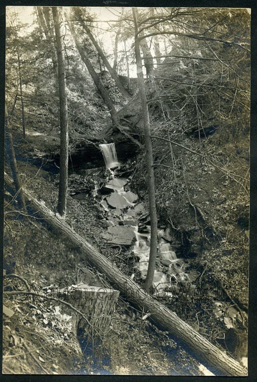 Forest waterfall antique landscape photo