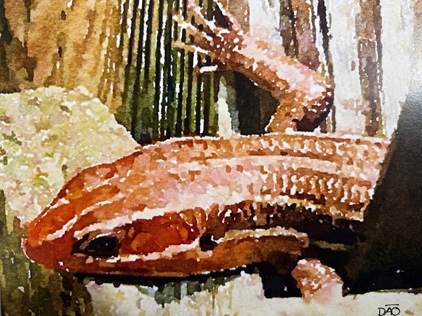 Lizard Digital Watercolor Original Photograph 8 X 10 Matted To 11 X 14 – Signed