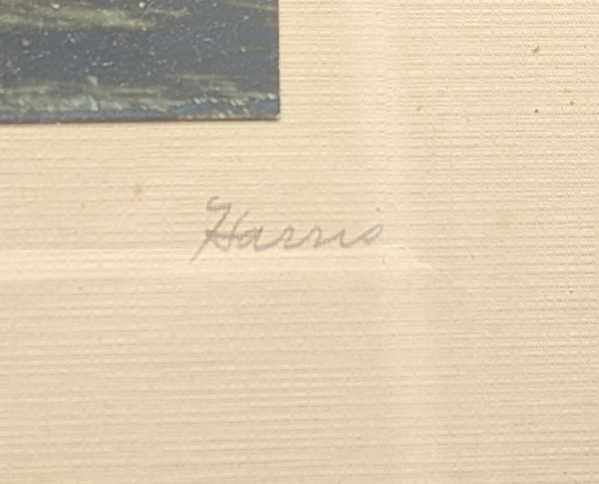 Vintage Framed HARRIS Hand Painted photo Circa early 20TH century Ausable Chasms