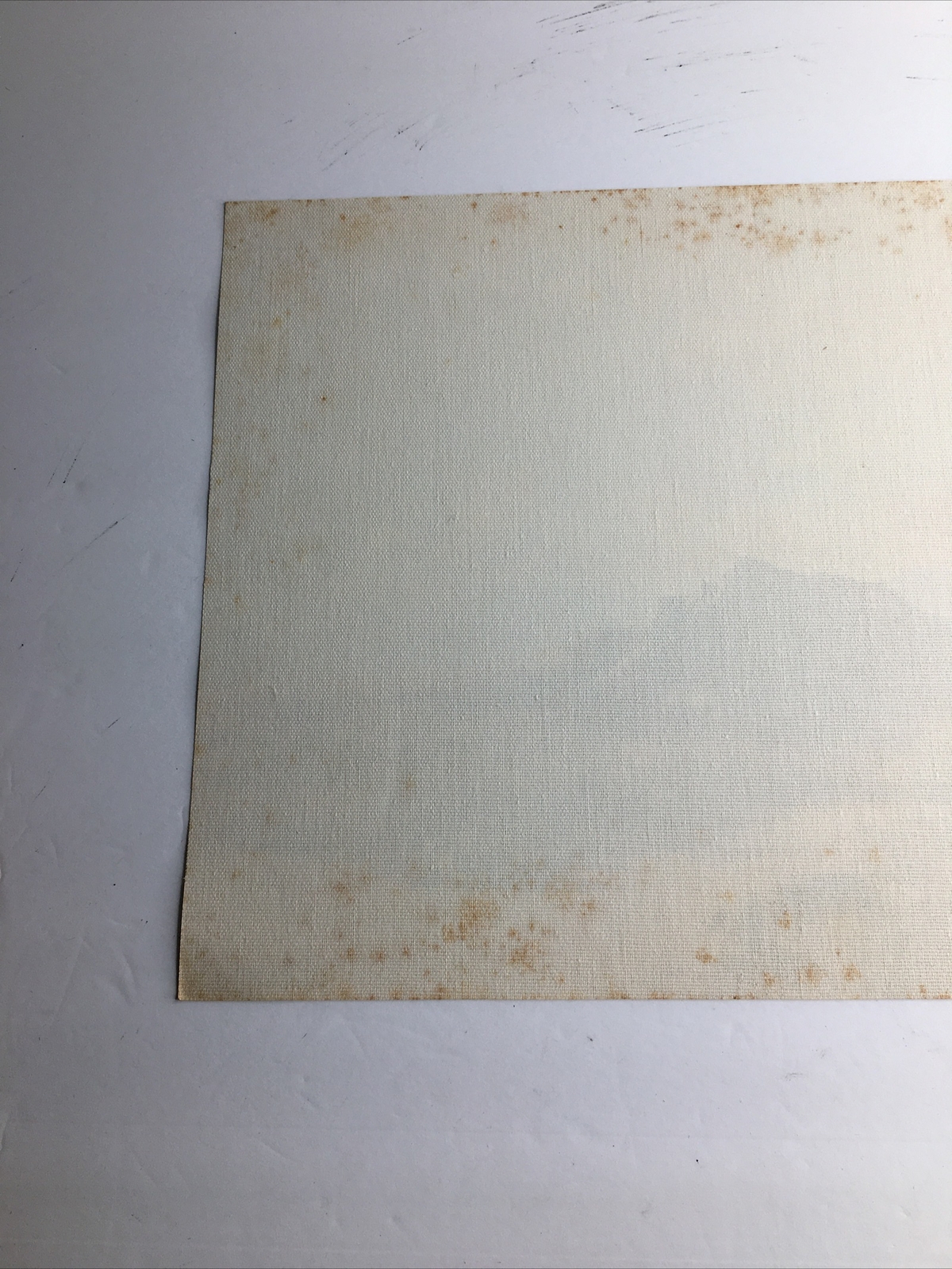 Vintage MCM Art Treasures Inc John Loo Nature Lithograph on Canvas Unframed G3